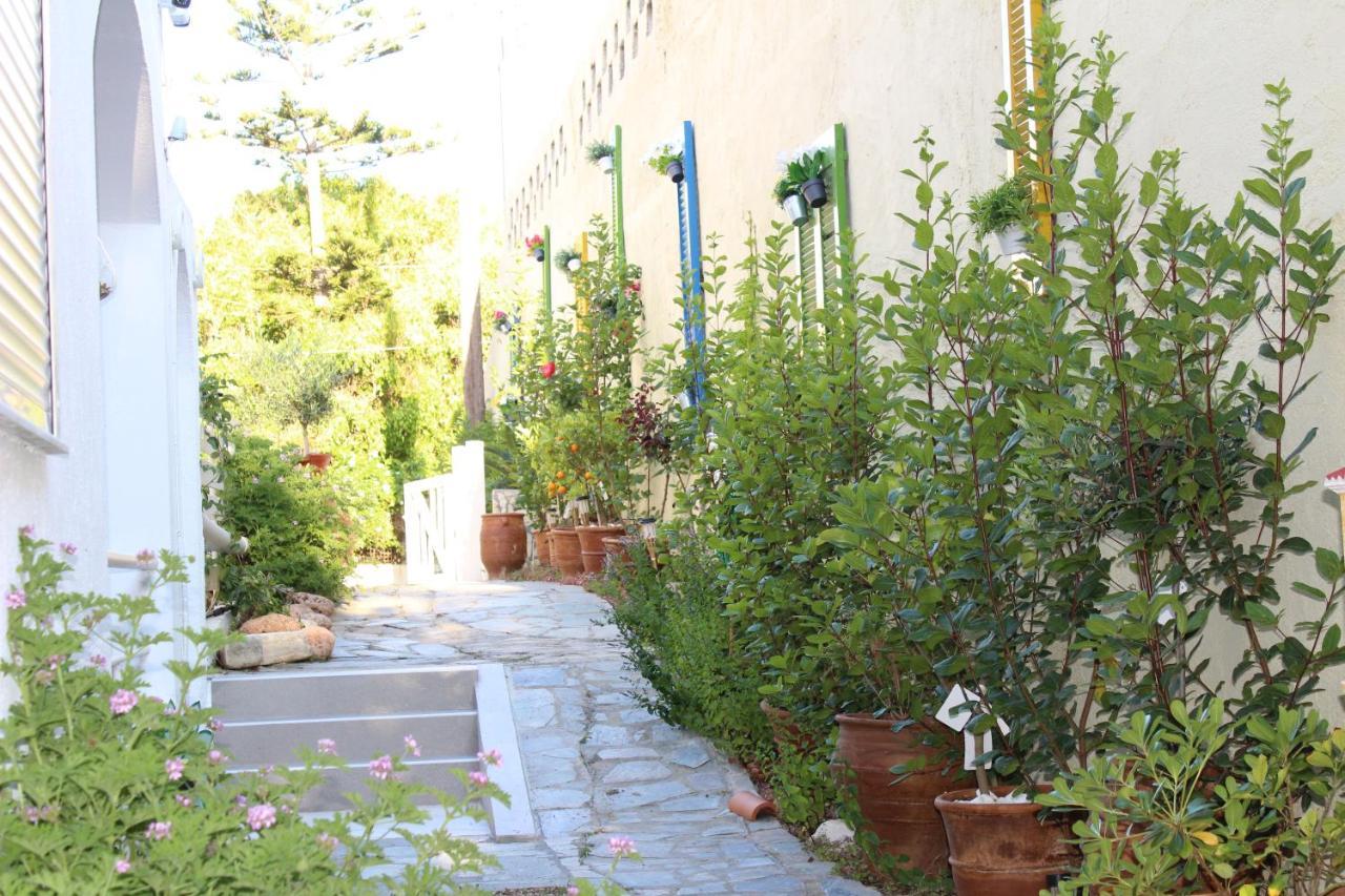 Carolina Apartments Crete อาเยีย เปลาเยีย ภายนอก รูปภาพ