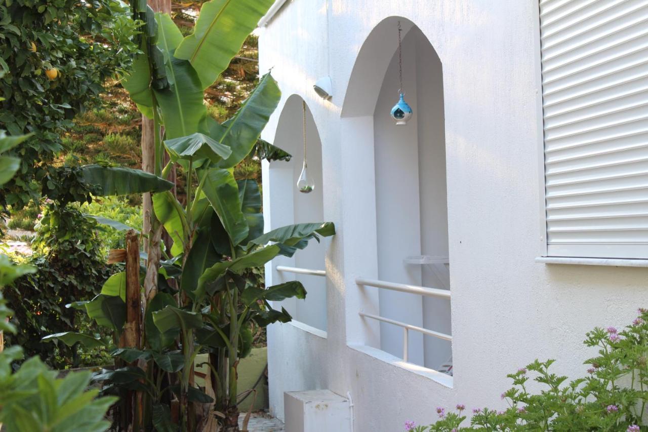 Carolina Apartments Crete อาเยีย เปลาเยีย ภายนอก รูปภาพ